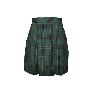 Winter Tunic/Skirt