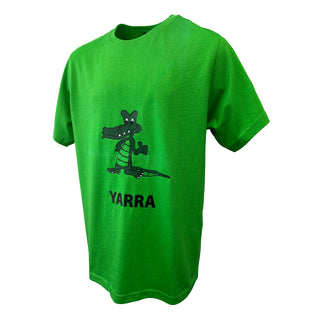 Sports T-Shirts (House Colours)
