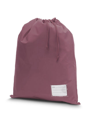 Library Bag