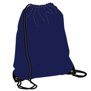 Library Bag**