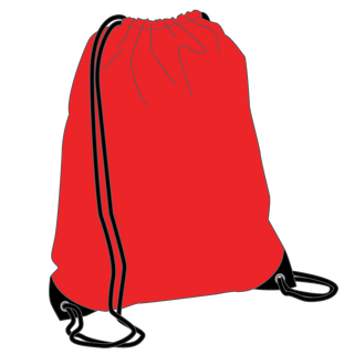 Library Bag**