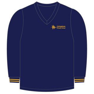 Windcheater V Neck