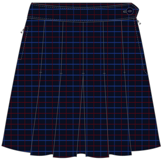 Winter Skirt Box Pleat**
